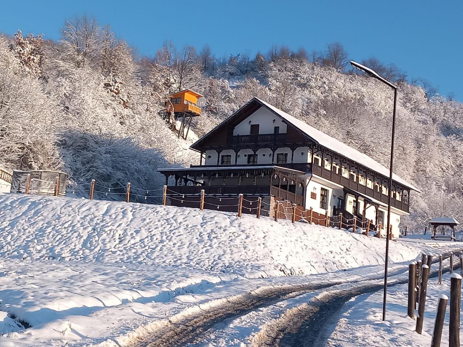 Апартаменты Mosia Dar In Rai Berbesti Экстерьер фото